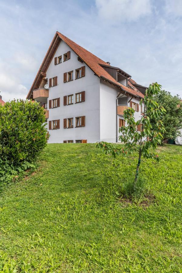 RH-Appartements Grenzach-Wyhlen Exterior foto